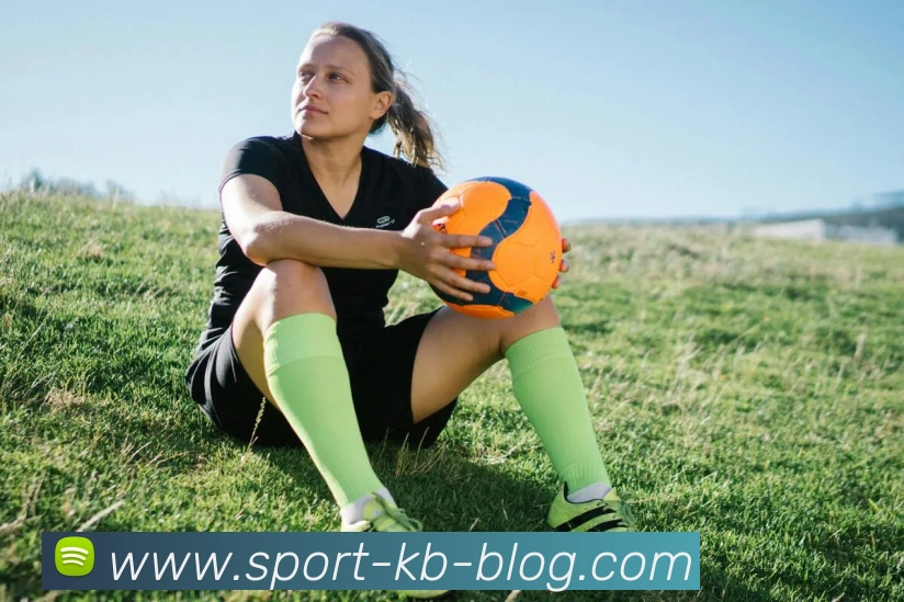 KB体育平台生态图